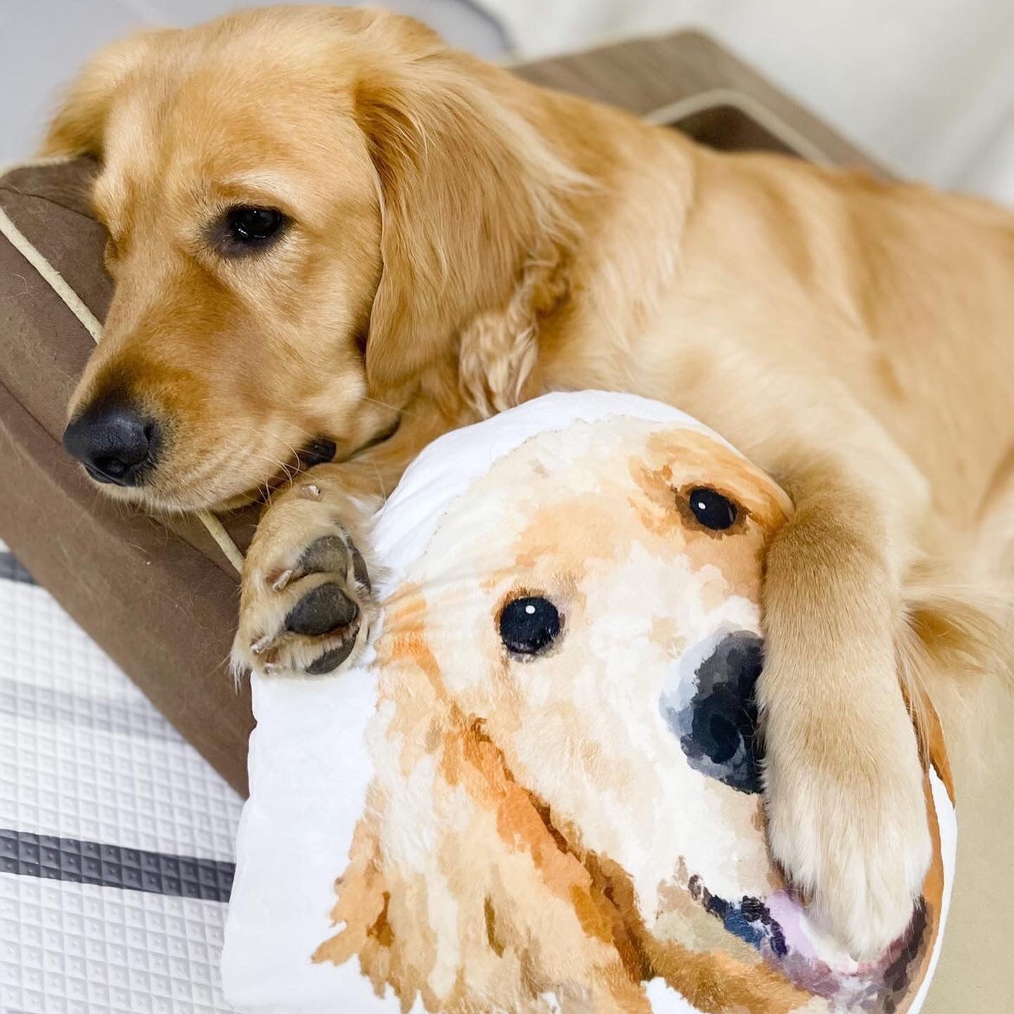 【加購】頭形抱枕