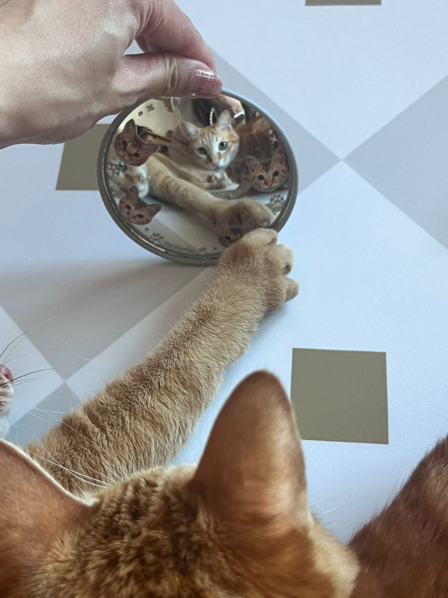 【加購】反光小魔鏡