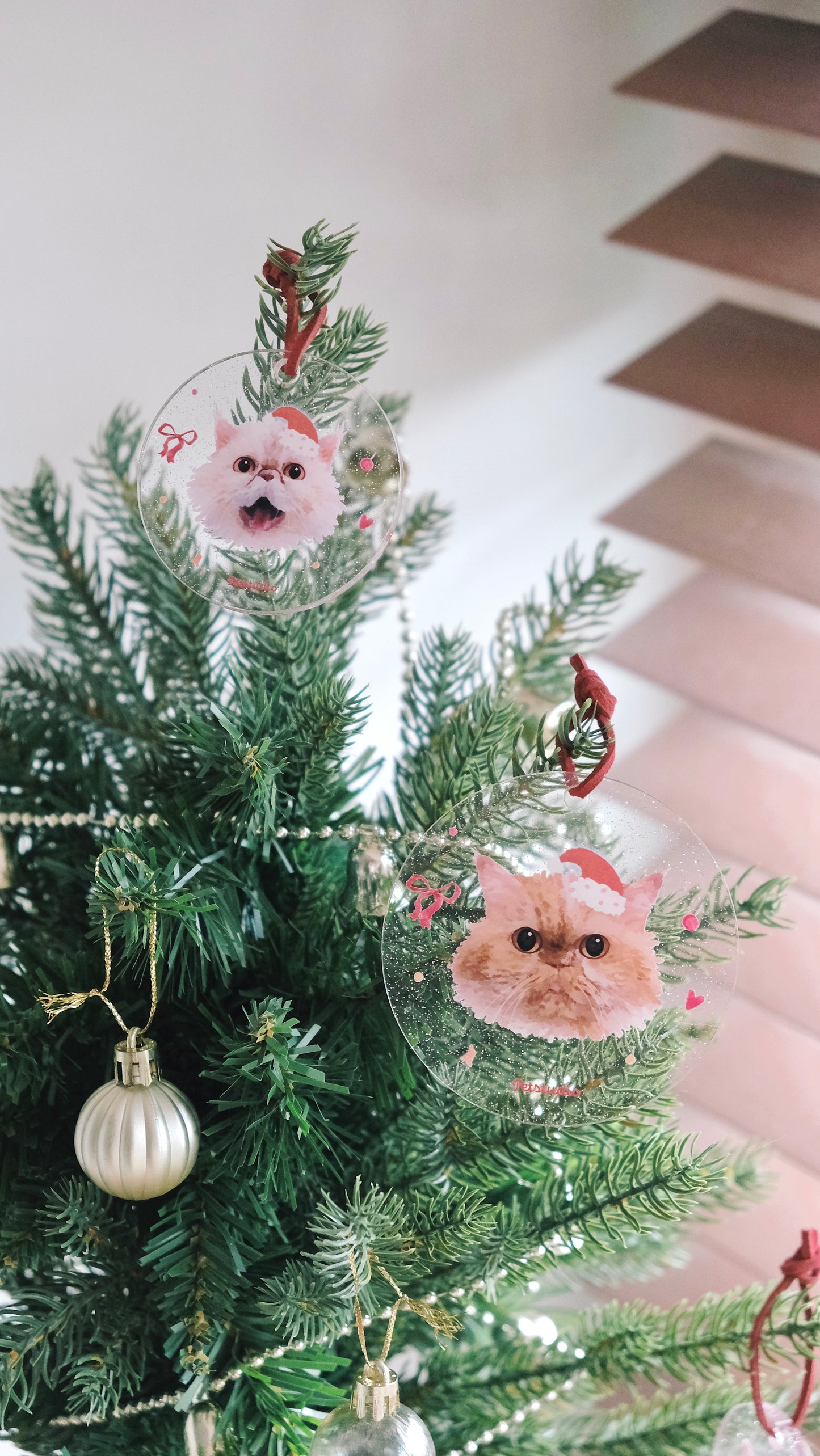 【加購】閃閃聖誕！🎄亞加力掛牌