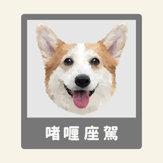 【Add-on】Car stickers