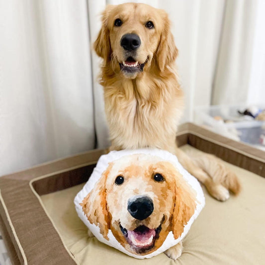 [Add-on] Head-shaped pillow 
