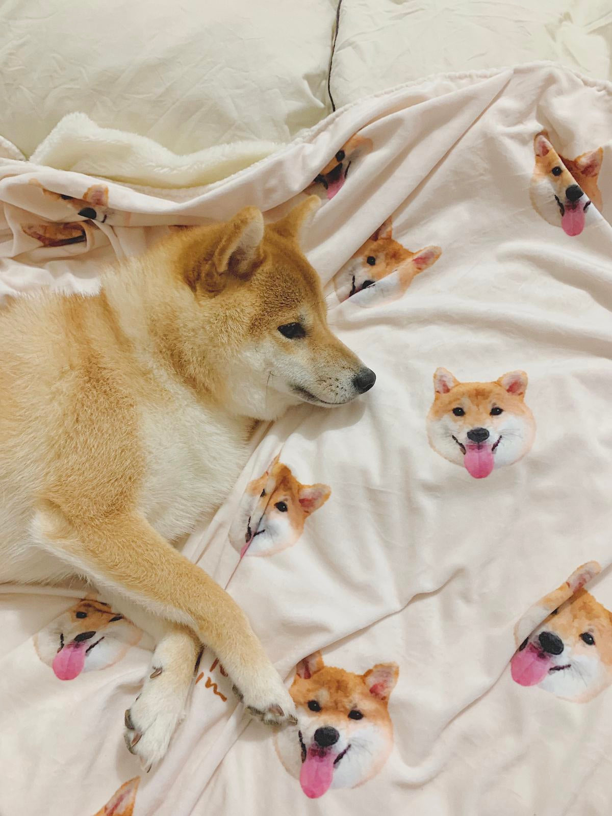 [Add to Cart] Autumn and winter essential ❅ comfortable fleece blanket 
