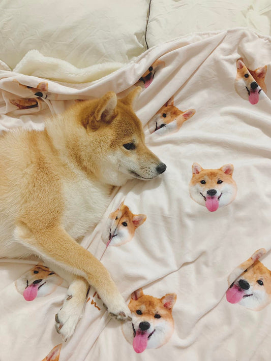 [Add to Cart] Autumn and winter essential ❅ comfortable fleece blanket 